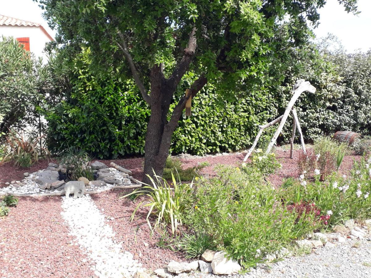 Domaine De La Clotte Acomodação com café da manhã Roquefort-des-Corbières Exterior foto