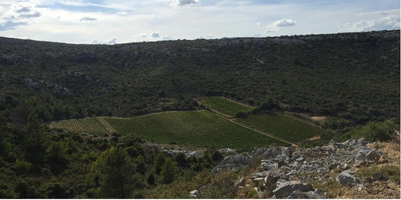 Domaine De La Clotte Acomodação com café da manhã Roquefort-des-Corbières Exterior foto
